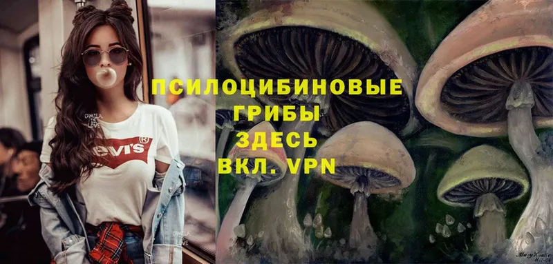 blacksprut ССЫЛКА  Мамоново  Псилоцибиновые грибы Magic Shrooms 